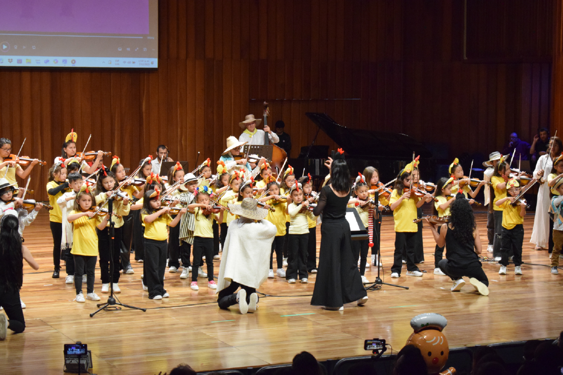 PFM Suzuki Colombia violin 2025