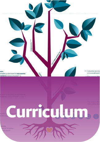 curriculum
