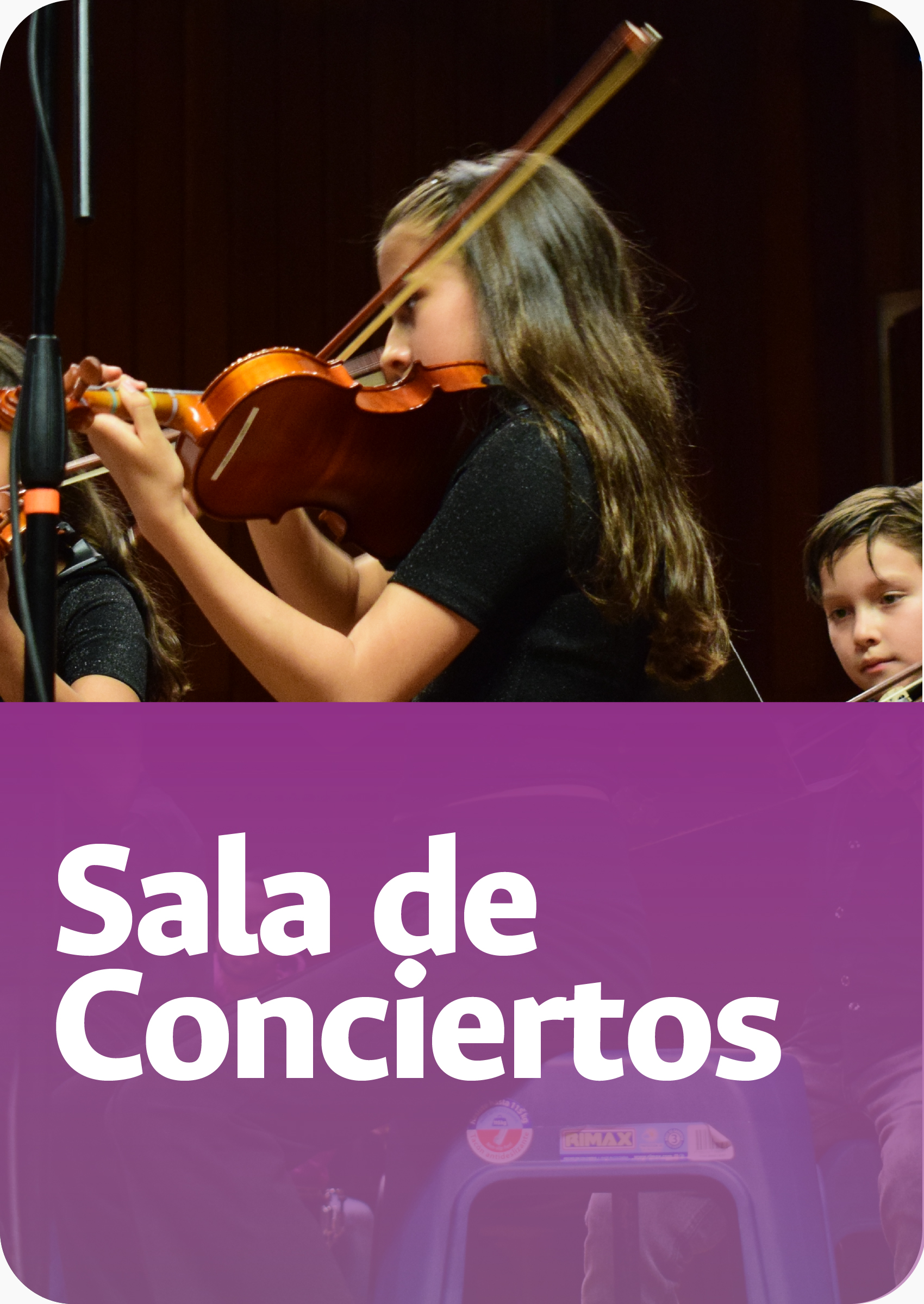 botón sala de conciertos
