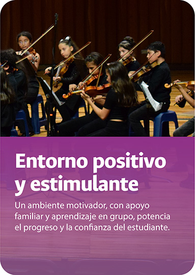 Filosofía Suzuki principio entorno positivo