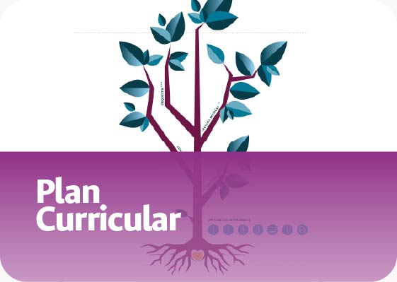 tarjeta plan curricular